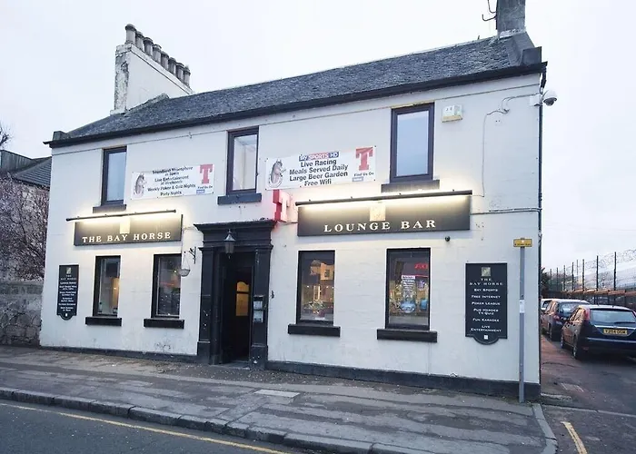 Bay Horse