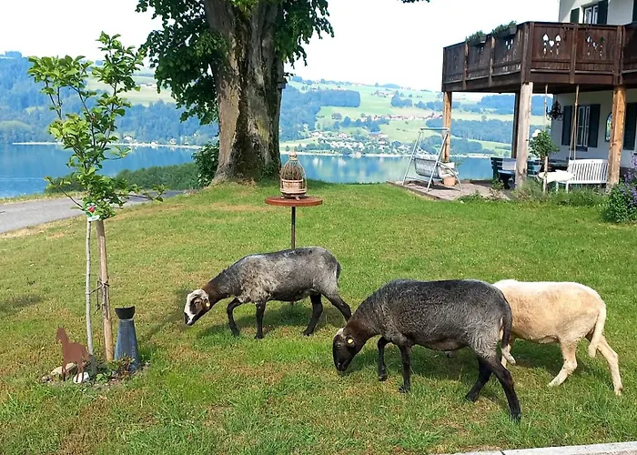 Roiderhof Irrsee Oberhofen am Irrsee