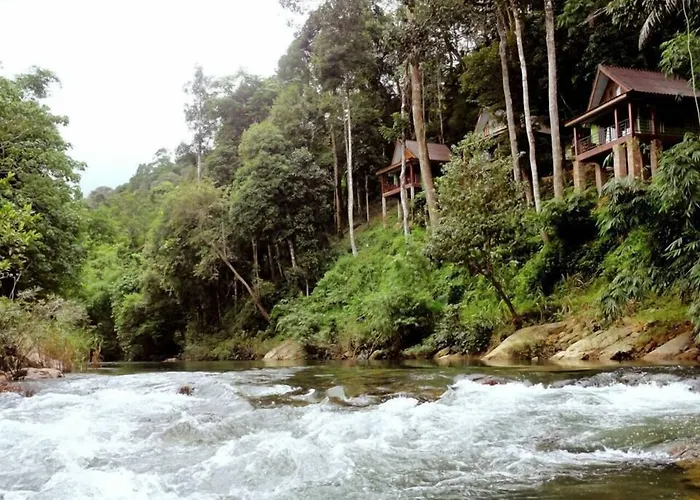 Khaosok Rainforest Resort