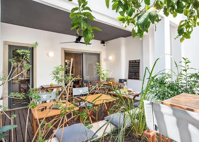 Lemon Tree Stay Faro