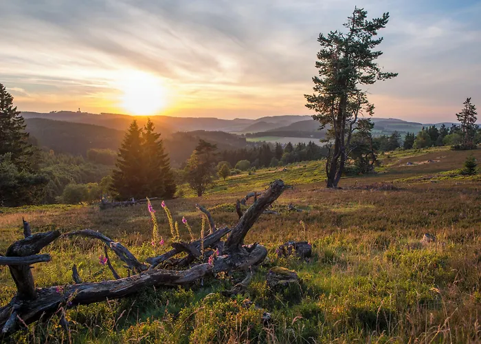 Sporthotel Zum Hohen Eimberg Willingen 