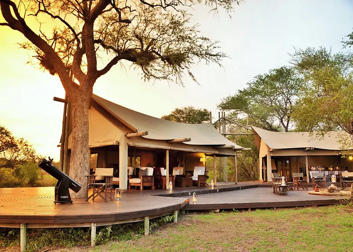 Rhino Walking Safaris