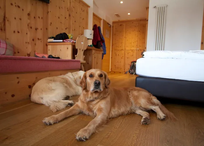 Hotel Shandranj Teser im Fleimtal