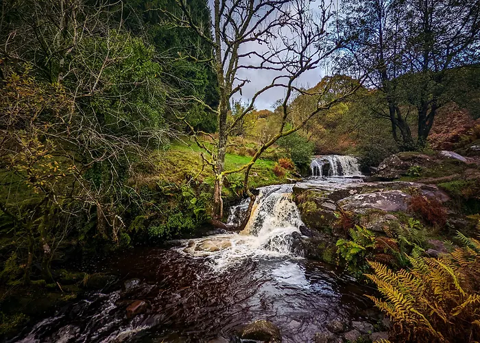 Mill Lodge-Brecon Beacons