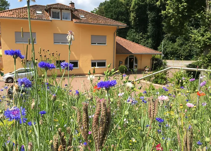 Hostellerie Bacher