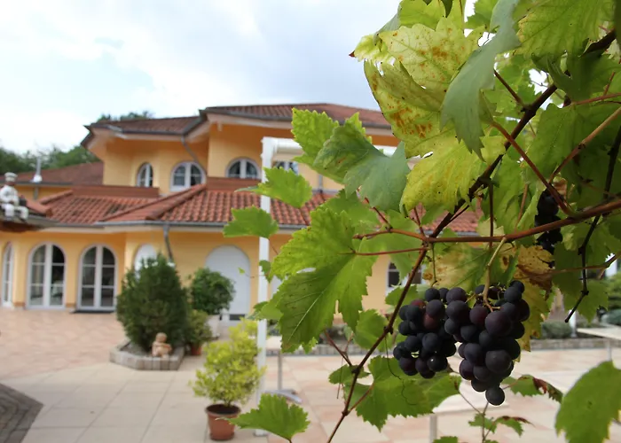 Hostellerie Bacher