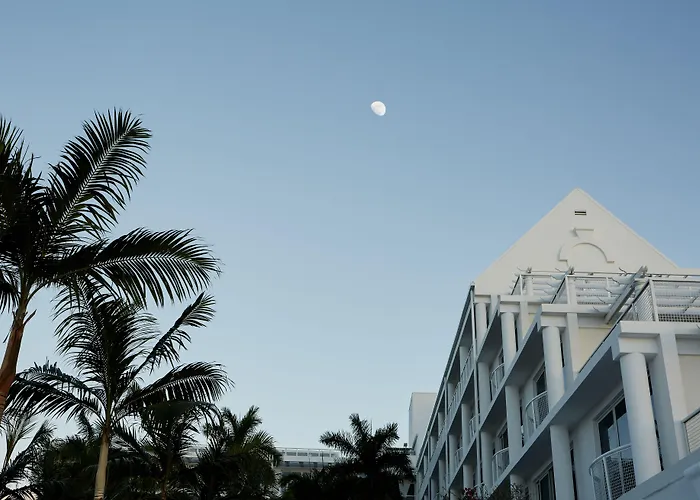 Palm Heights