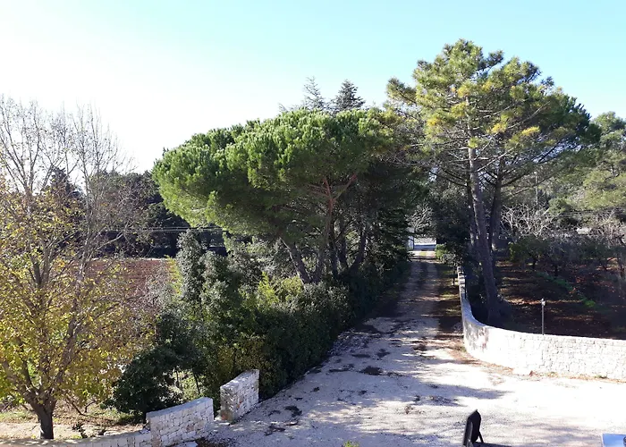 B&B Trulli e Mare
