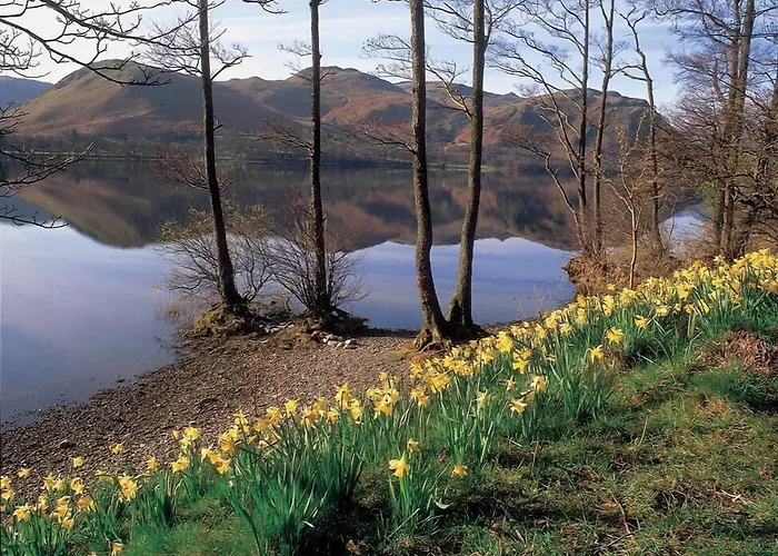 Brantwood
