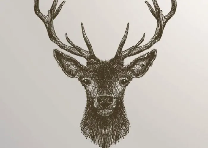 The Buck Inn