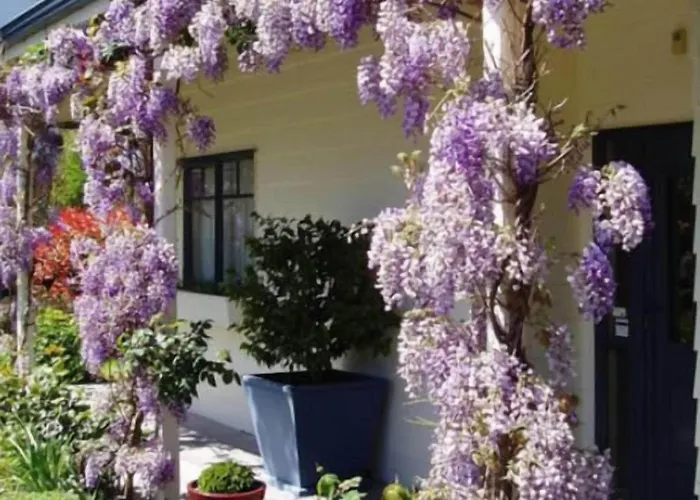 Olive Rabbit - Boutique Bed & Breakfast Turangi