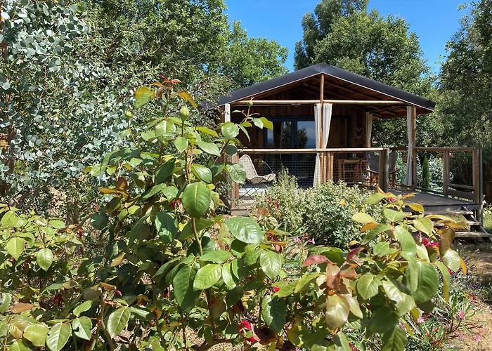 Cabanes Trésors de Campagne,spas privatifs Villarzel-du-Razes