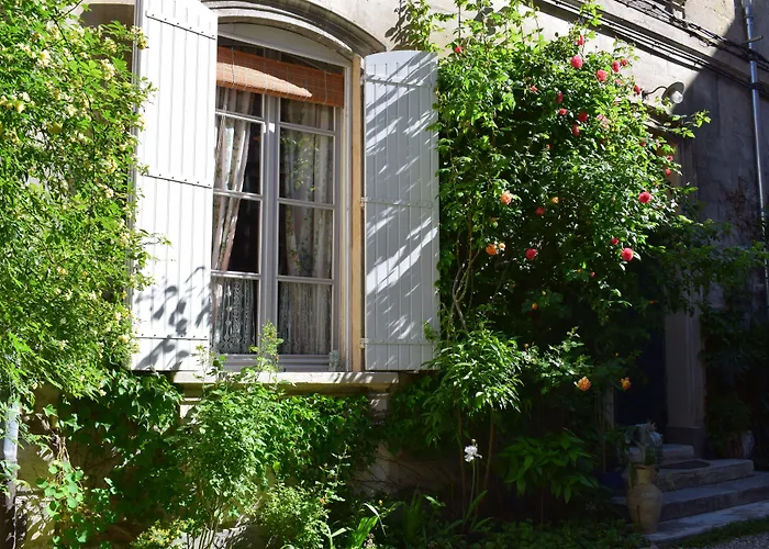 Cocooning Avignon