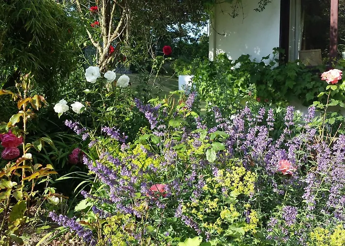 Riverfield Bed And Breakfast