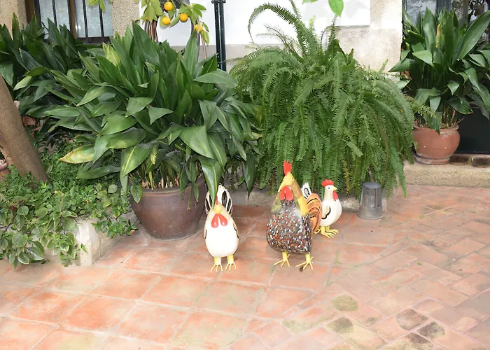 Casa Rural Antolina San Martín de Trevejo