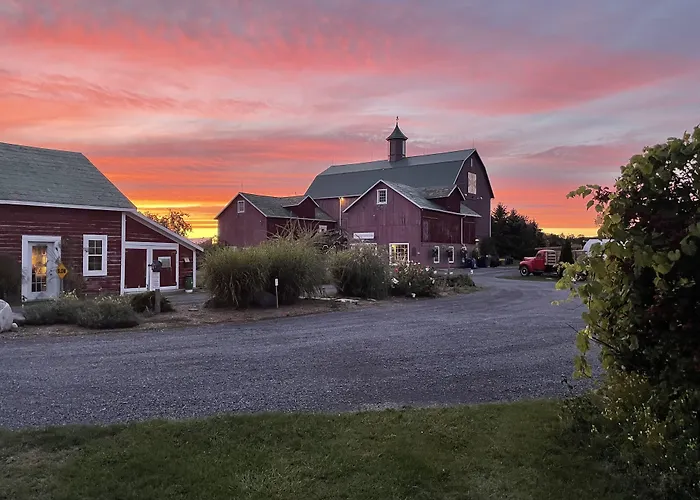 The Eddie Hotel And Farm