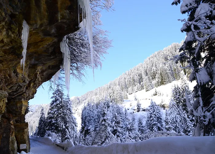 Hotel Rovanada Wellness&BergNatur Vals