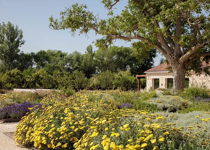 Hotel Quinta San Francisco Castrojeriz