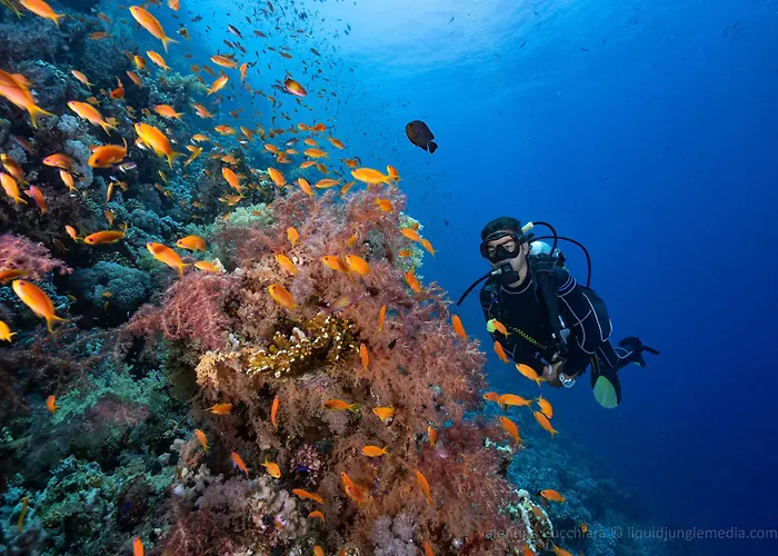 Camel Dive Club & Boutique Hotel Sharm El-Sheikh
