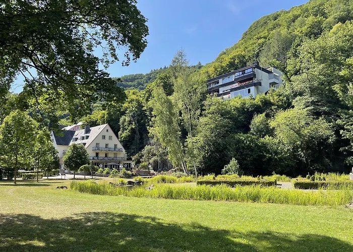 Hotel Alte Muehle