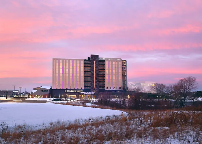 Omni Viking Lakes Eagan