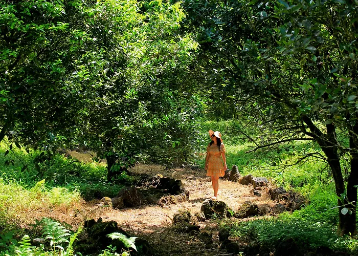 Natura Gardens Galapagos Bellavista 