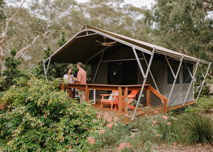 Port Stephens Koala Sanctuary Hotel One Mile