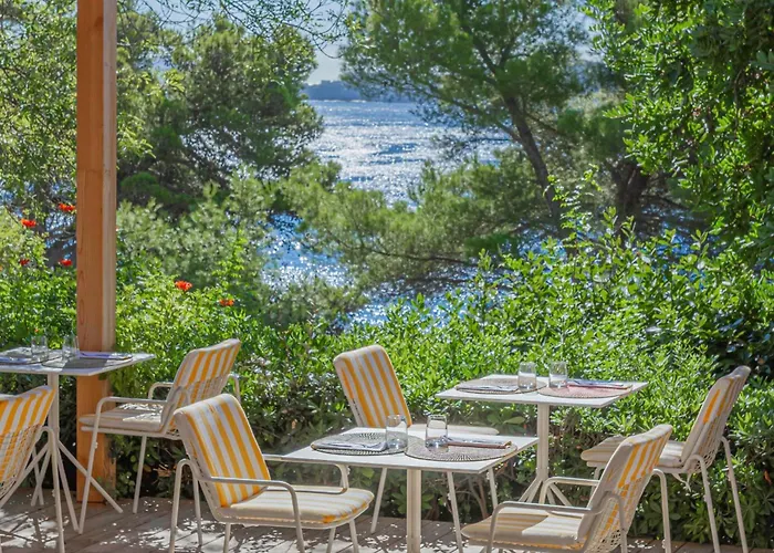 Hôtel Le Provençal - Rénové en 2025 - Bord de Mer Hyères