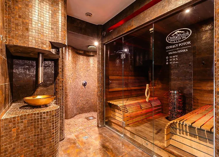 Hotel Dziki Potok Karpacz