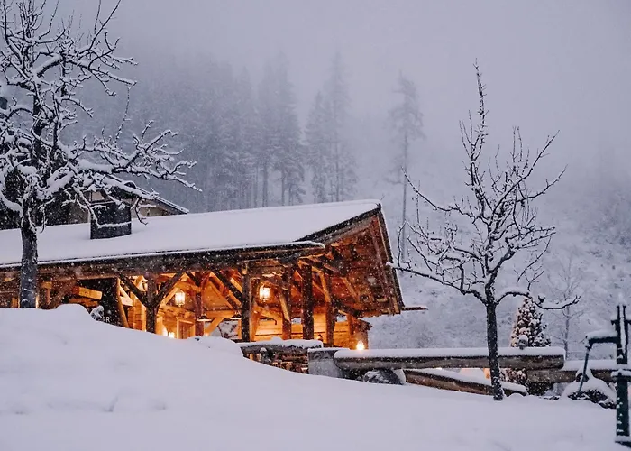 Aster Boutique Hotel & Chalets Fuegenberg