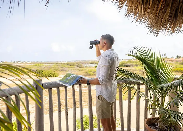 Boardwalk Boutique Hotel Aruba - Adults Only Palm Beach