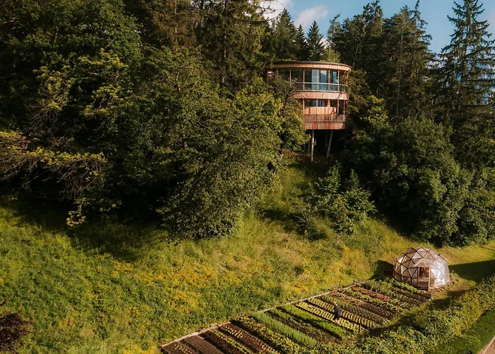 Hotel Der Waldhof