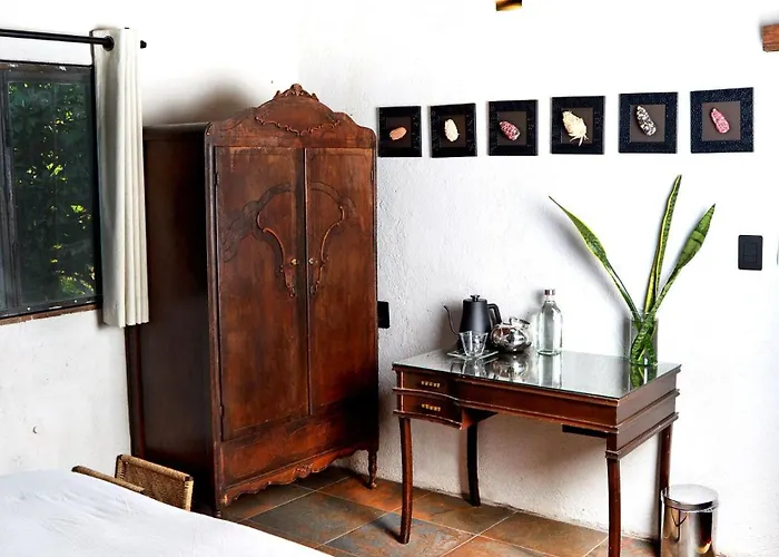 Bed and Breakfast Yolitia Wellness Malinalco