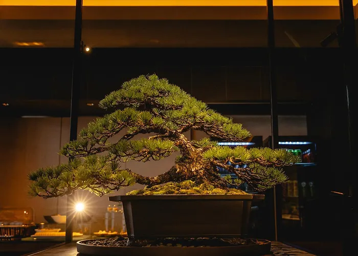 Gracery Kyoto Sanjo