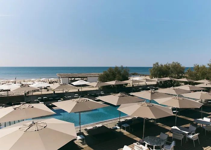 Hôtel Plage Palace&Spa