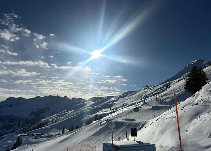 Hotel Alpenhof***