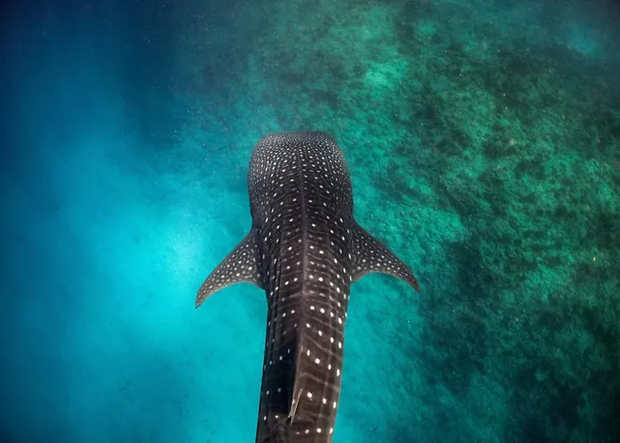 Nova Maldives