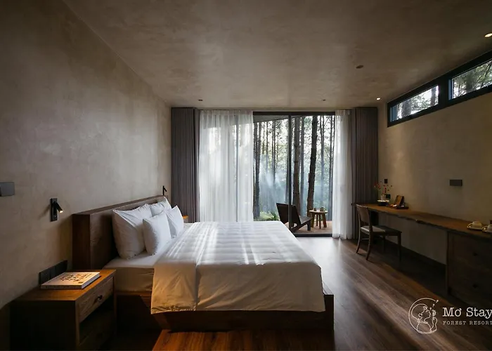 Mo Stay - Forest Resort