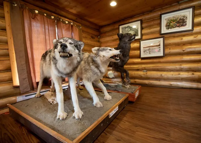 Tatogga Lake Resort Iskut