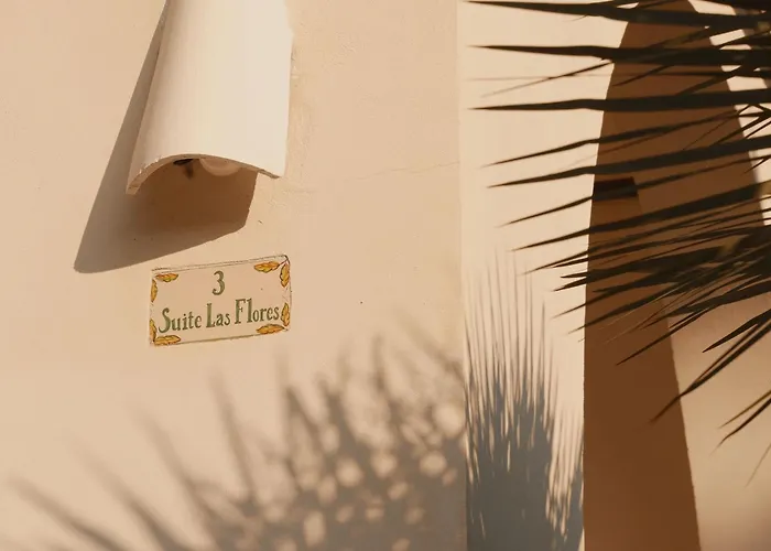 Hotel Bendinat Portals Nous 