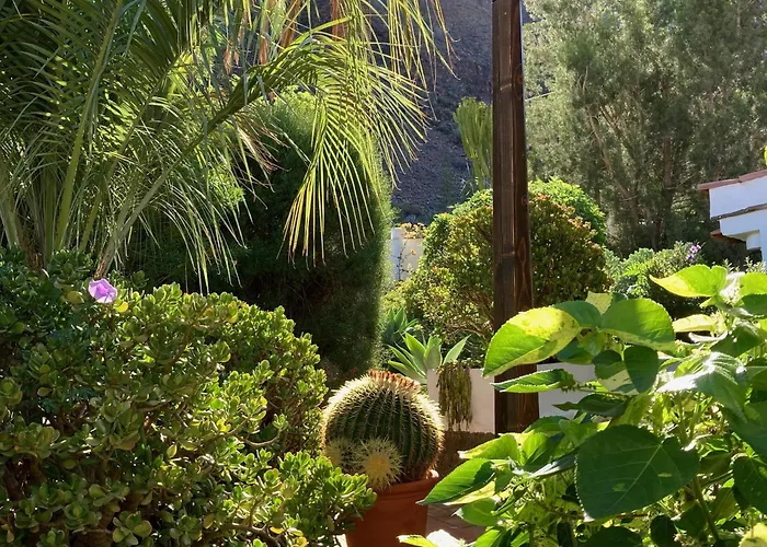 Casa Rural Palomar - Men Only