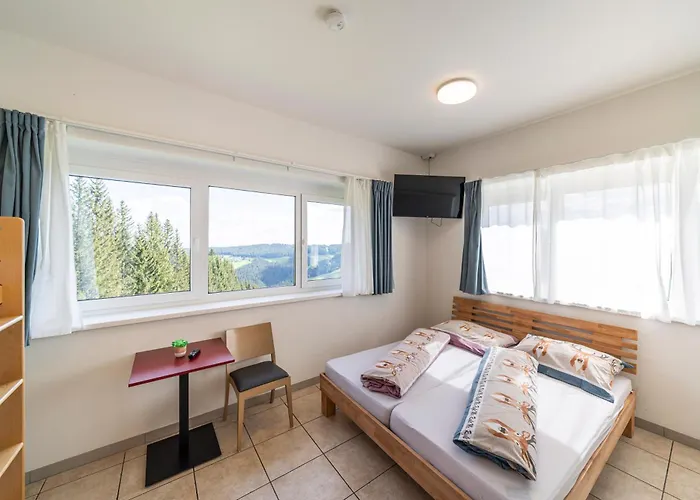 Gästehaus Hebalm - 900 m2 Familien-&Gruppenhaus zur Alleinnutzung Pack