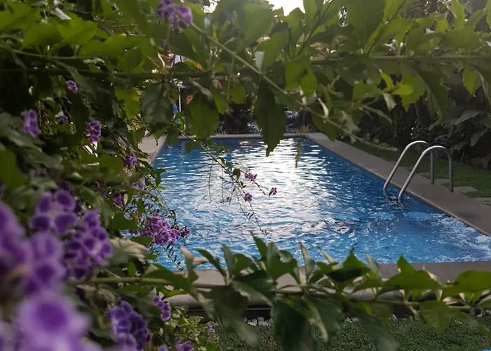 hotel quinta real las palmas malinalco