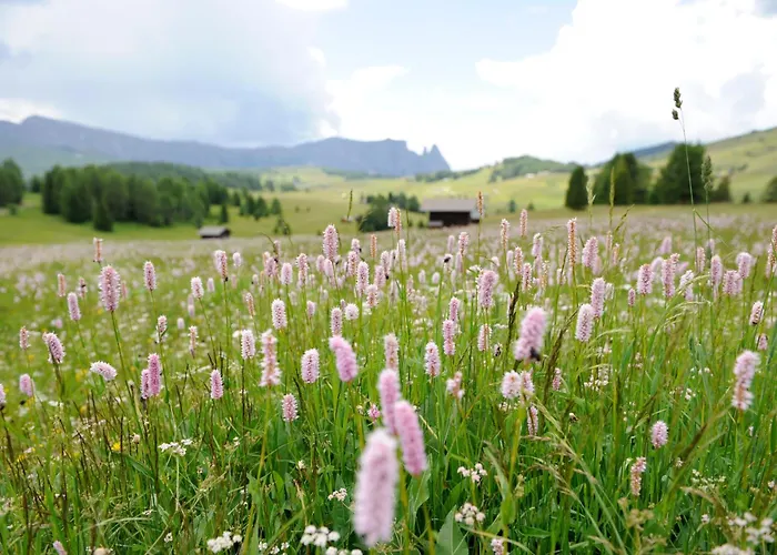 Naturresidence Dolomitenhof Seis am Schlern