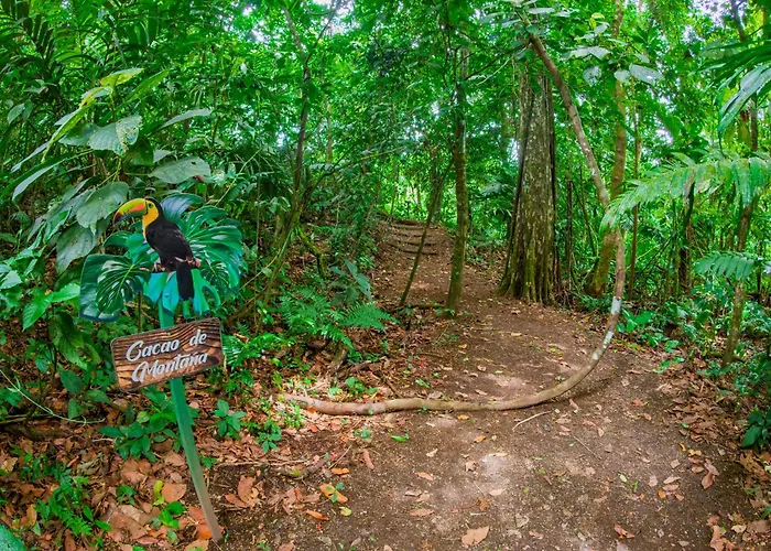 Lost Iguana Resort And Spa La Fortuna