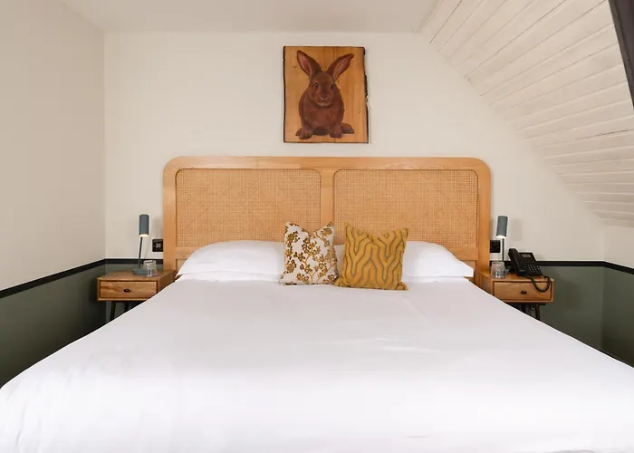 Rabbit & Retreat