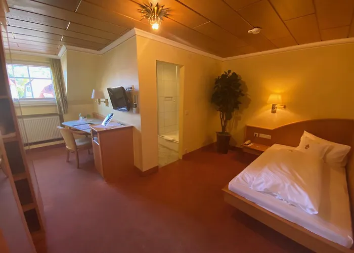 Ringhotel Winzerhof Rauenberg 