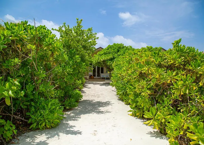 Hondaafushi Island Resort