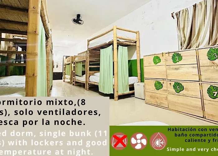 Hostal Pakal King