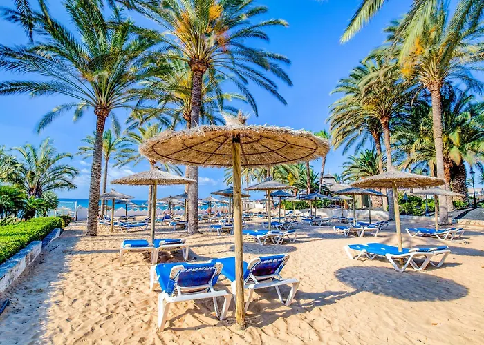 SBH Costa Calma Beach Resort Hotel